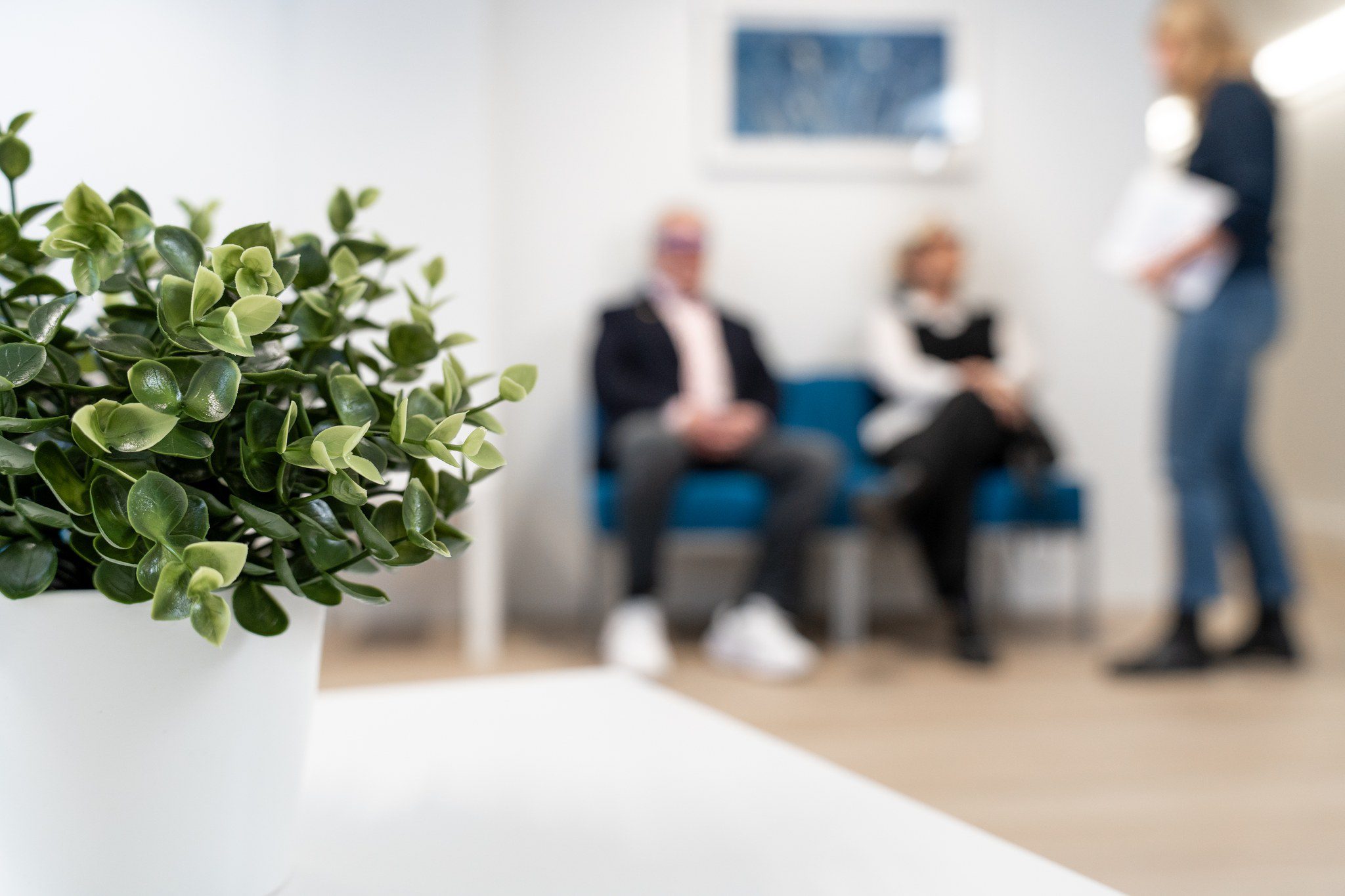 Valokuvassa etualalla näkyy viherkasvi valkoisessa ruukussa. Taustalla kolme ihmistä juttelee.